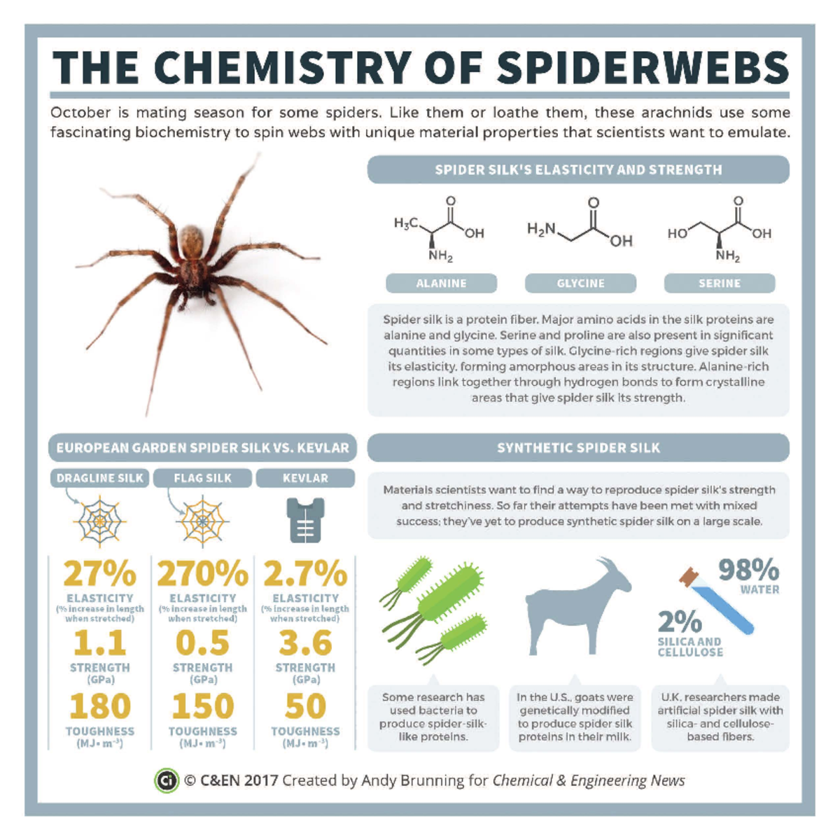 09541-scitech 2 - THE CHEMISTRY OF SPIDERWEBS October is mating season ...