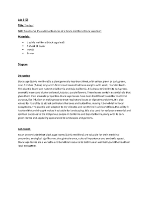 Inte lab 3 - Integrated science lab 3 - Lab3 (ORR) Title: Diffusion Aim ...