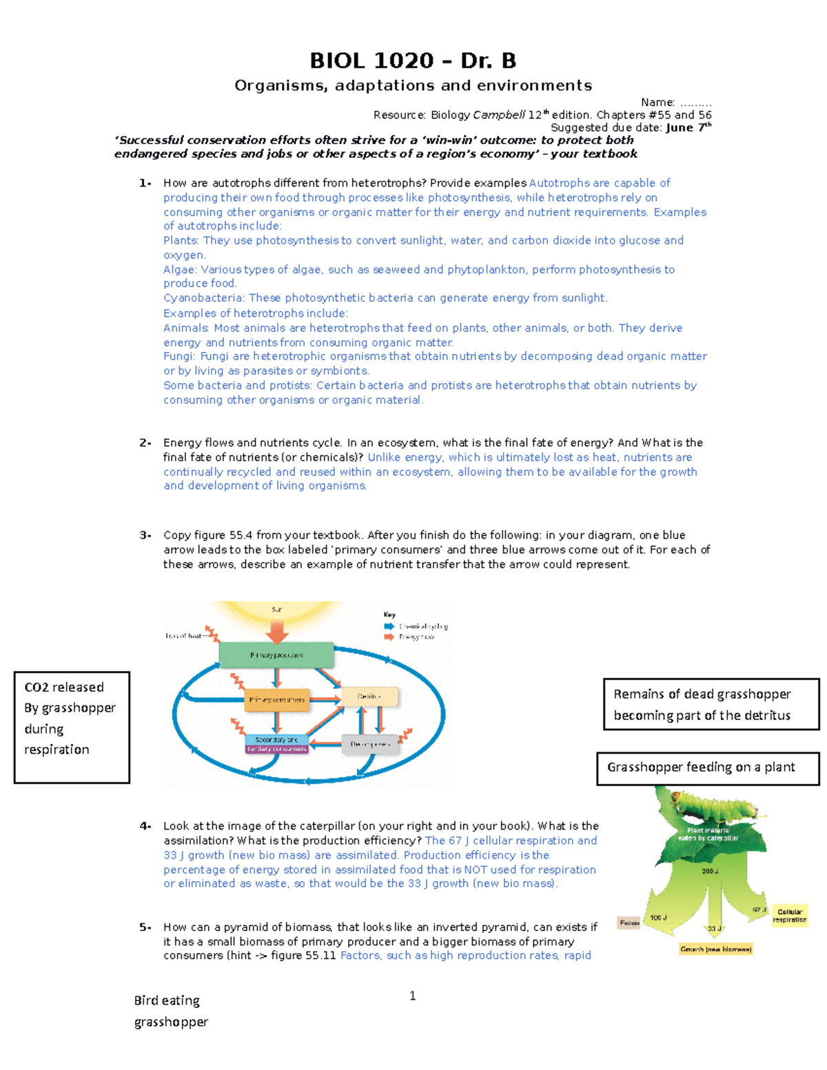 4 Homework Ecosystem Ecology CH 55 And Conservation CH 56 - Organisms ...