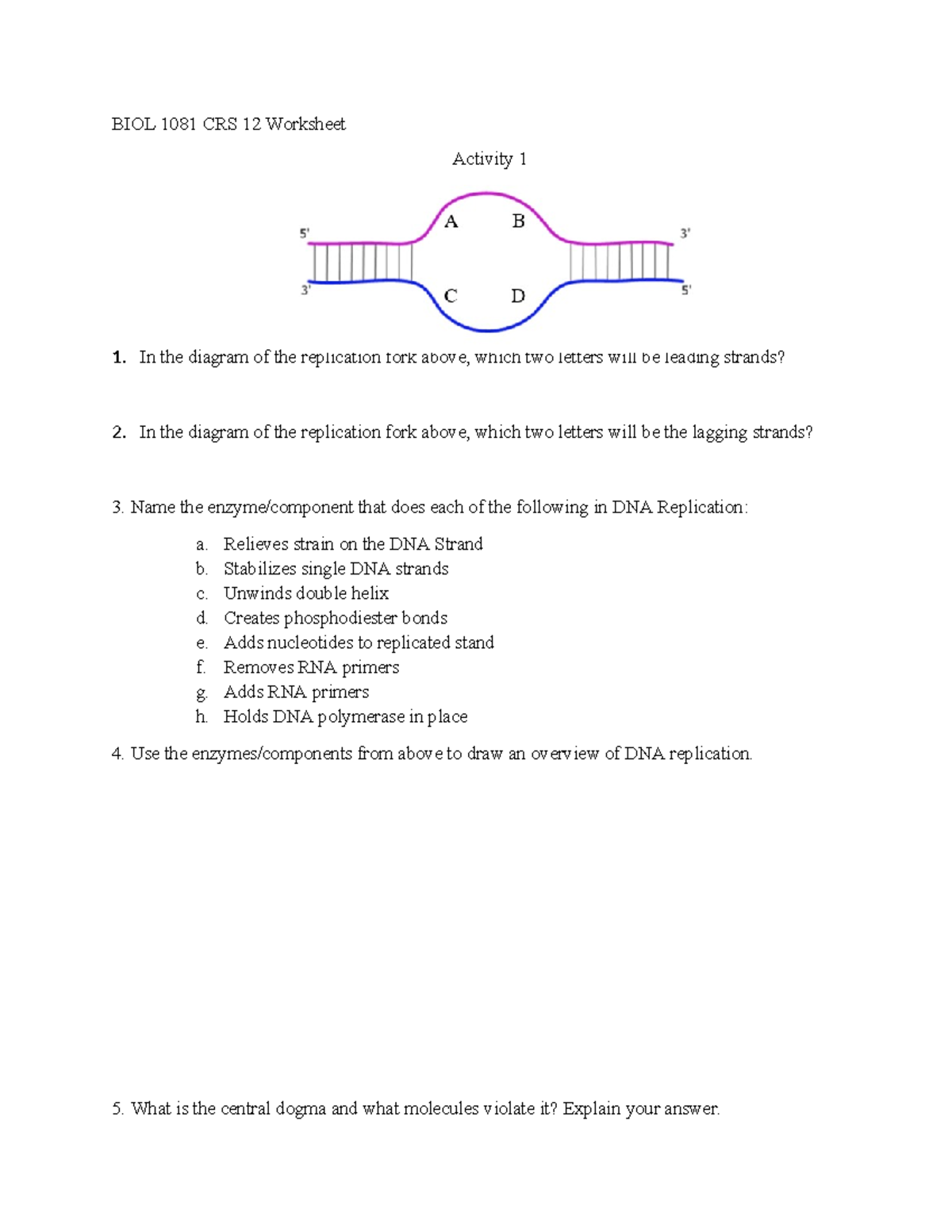 CRS 12 Worksheet - very good notes - BIOL 1081 CRS 12 Worksheet ...