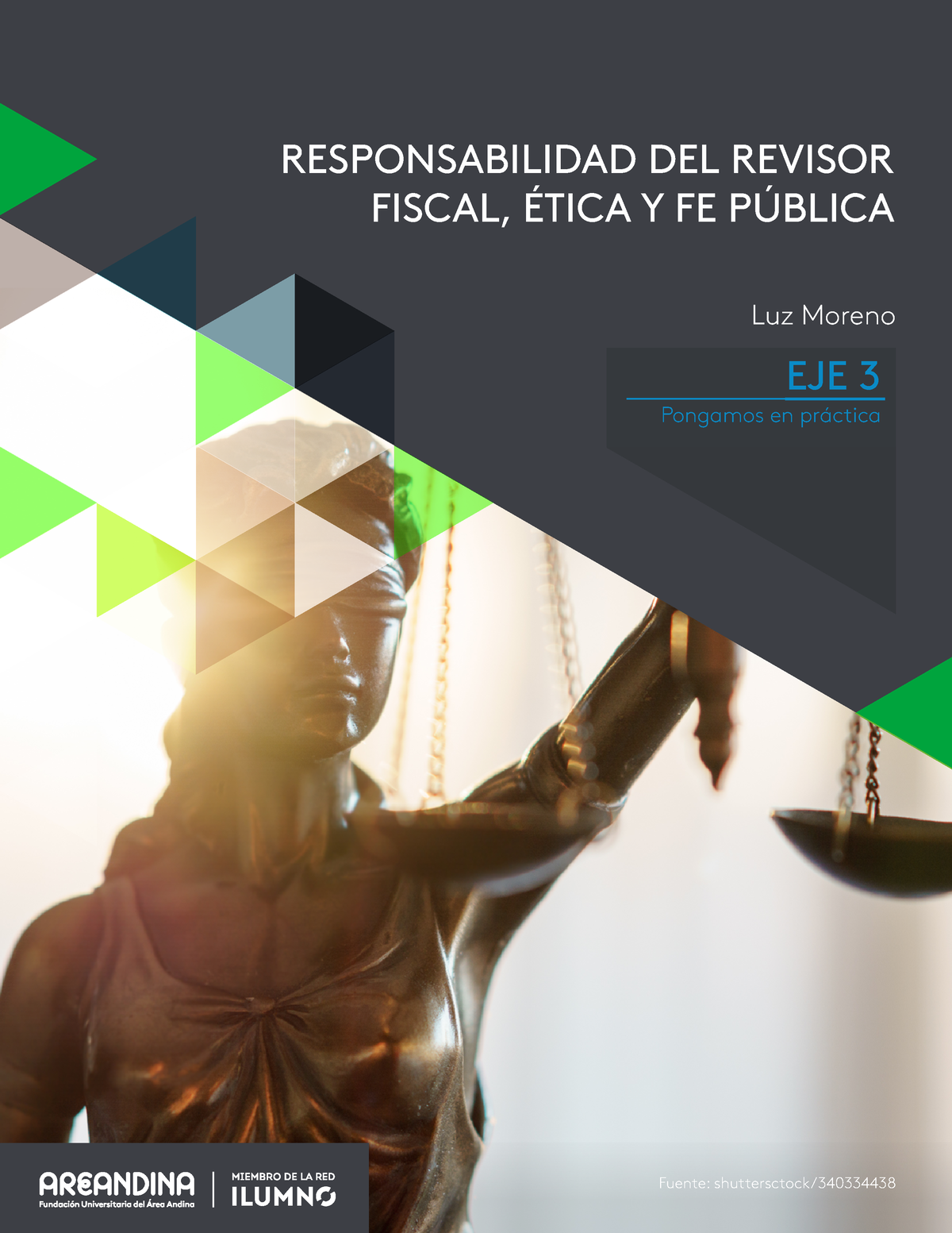 86 Eje3 Guia Responsabilidad Del Revisor Fiscal Ética Y Fe PÚblica