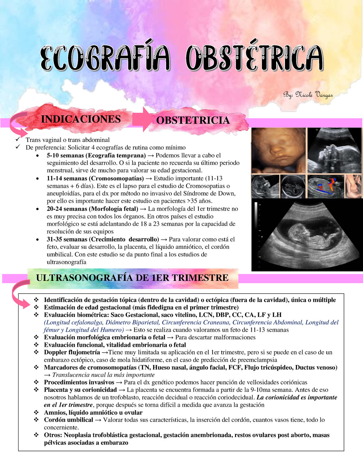 Ecografia Obstetrica GOB - INDICACIONES  Trans vaginal o trans abdominal   De preferencia: - Studocu