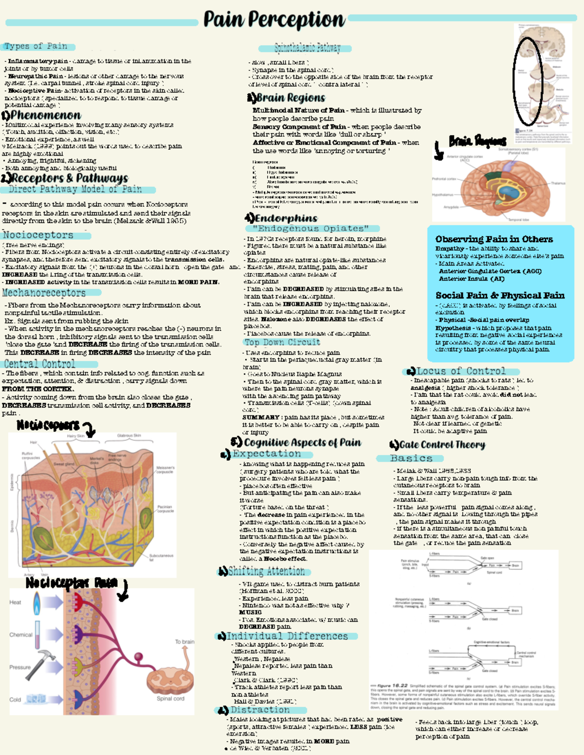 Pain Perception - Inflammatory pain - damage to tissue or inflammation ...