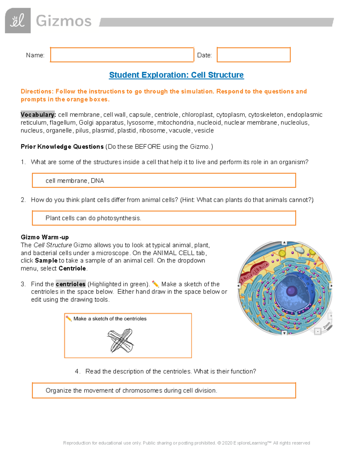 Cell Structure Gizmo Worksheet - Name: Date: Student Exploration: Cell ...