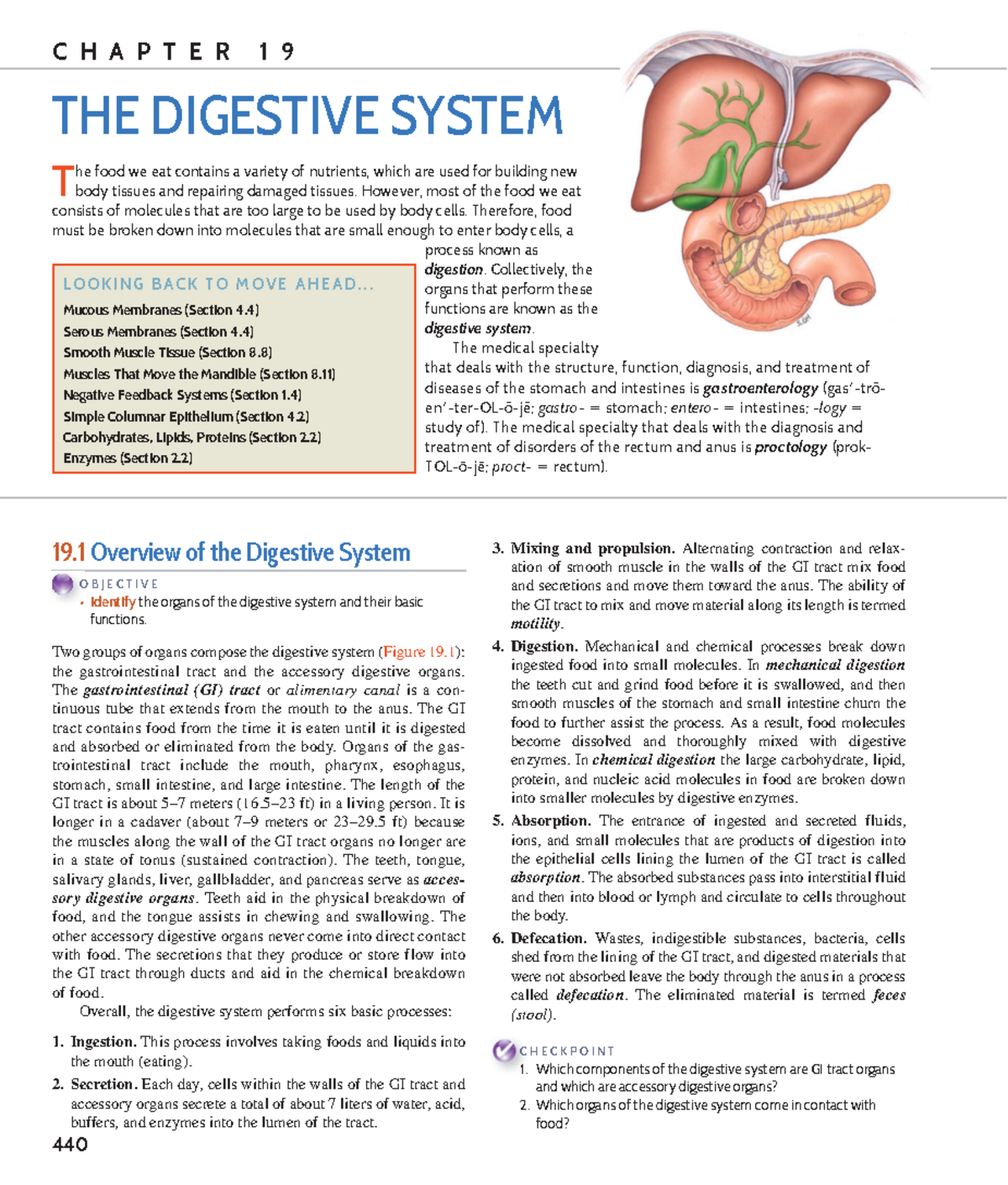 The Digestive System 440 T he food we eat contains a variety of