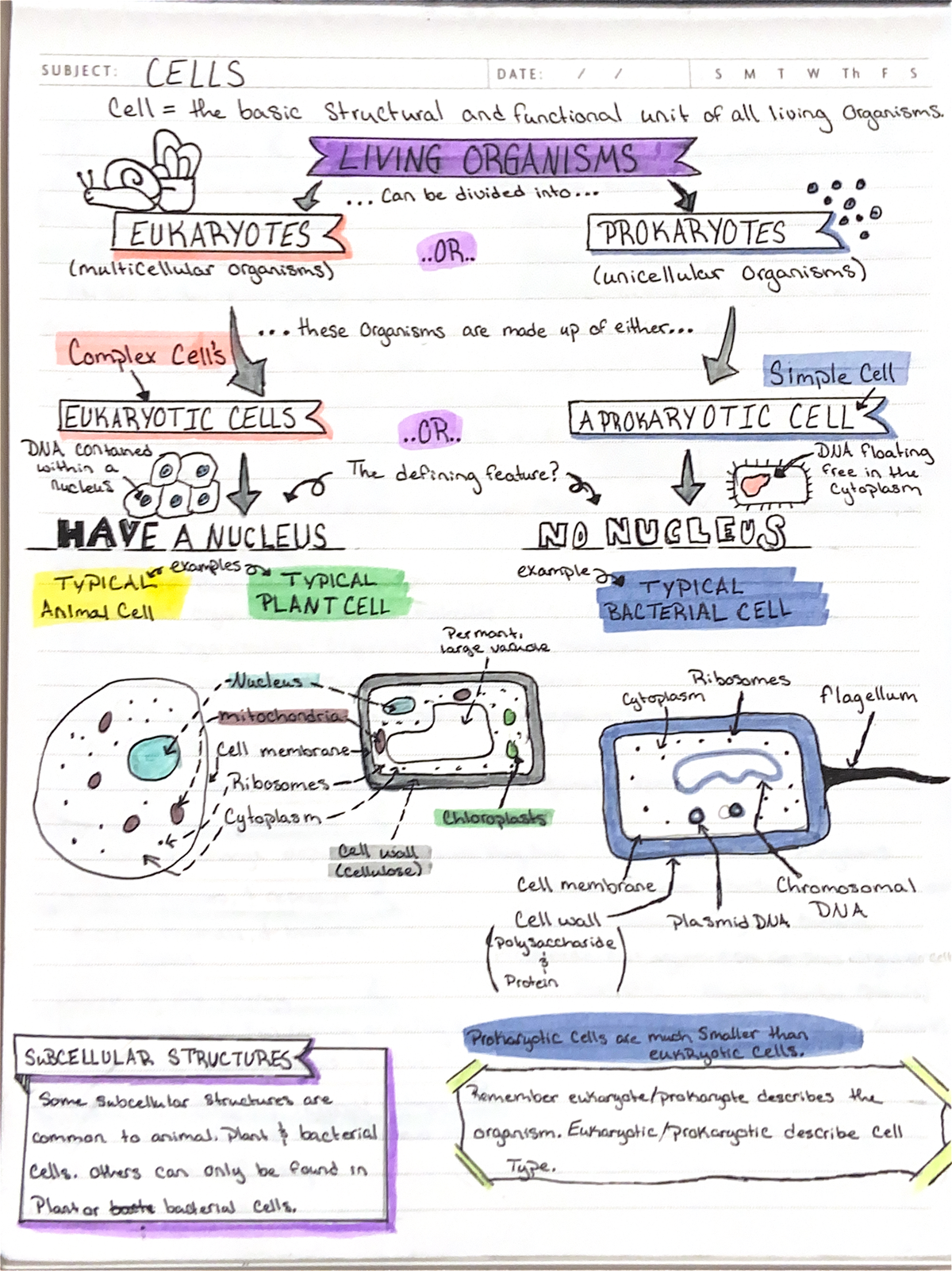Bio notes - Eukaryotes/ Prokaryotes Characteristics of living organisms ...
