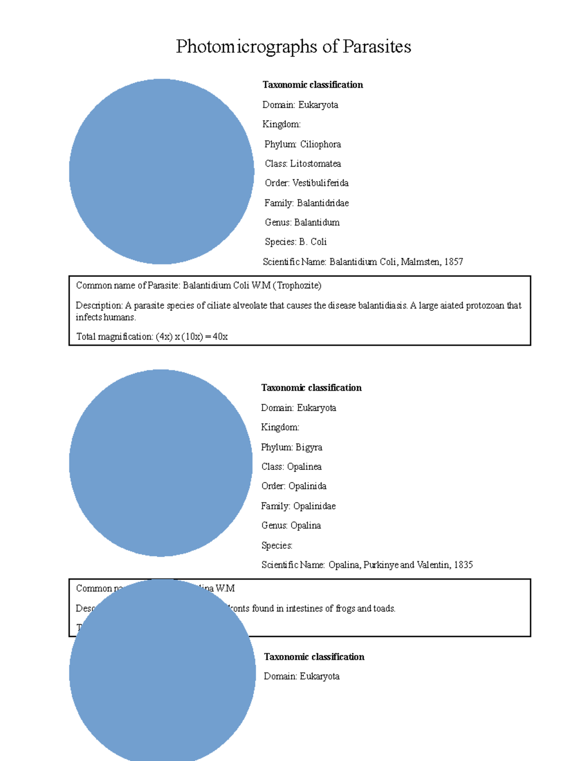 BIO-assignment-formatting - Photomicrographs of Parasites Taxonomic ...
