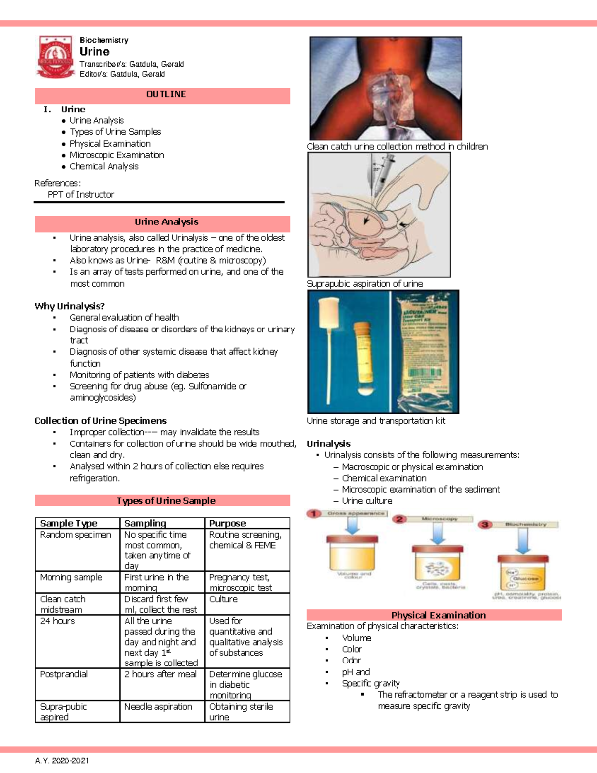 F. IV - Urine (T-Biochemistry) - OUTLINE I. Urine Urine Analysis Types ...