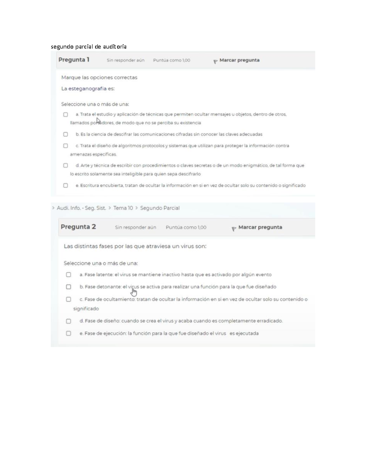SAI-2do segundo parcial de auditoria 2021 - segundo parcial de ...
