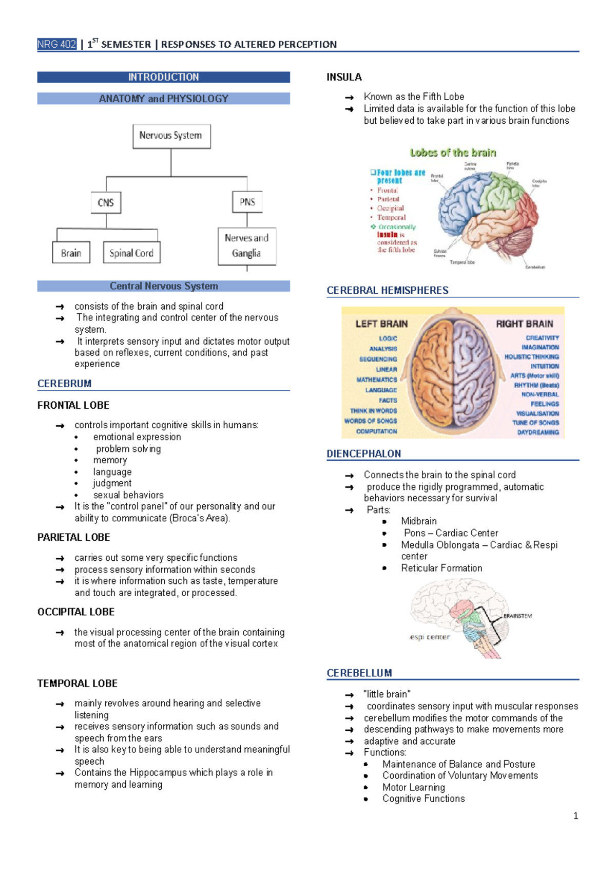 1. Responses To Altered Perception - Introduction Anatomy And 