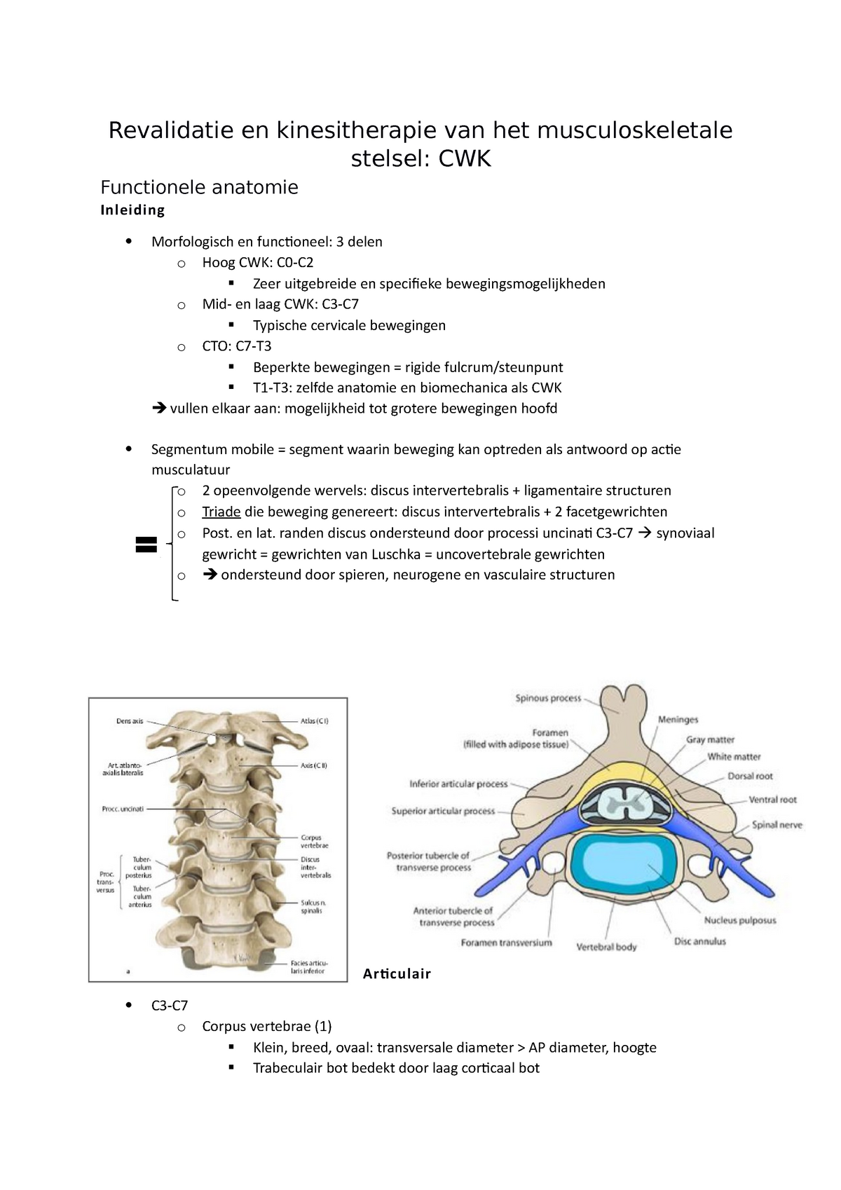 Revaki MSS Samenvatting - Revalidatie En Kinesitherapie Van Het ...