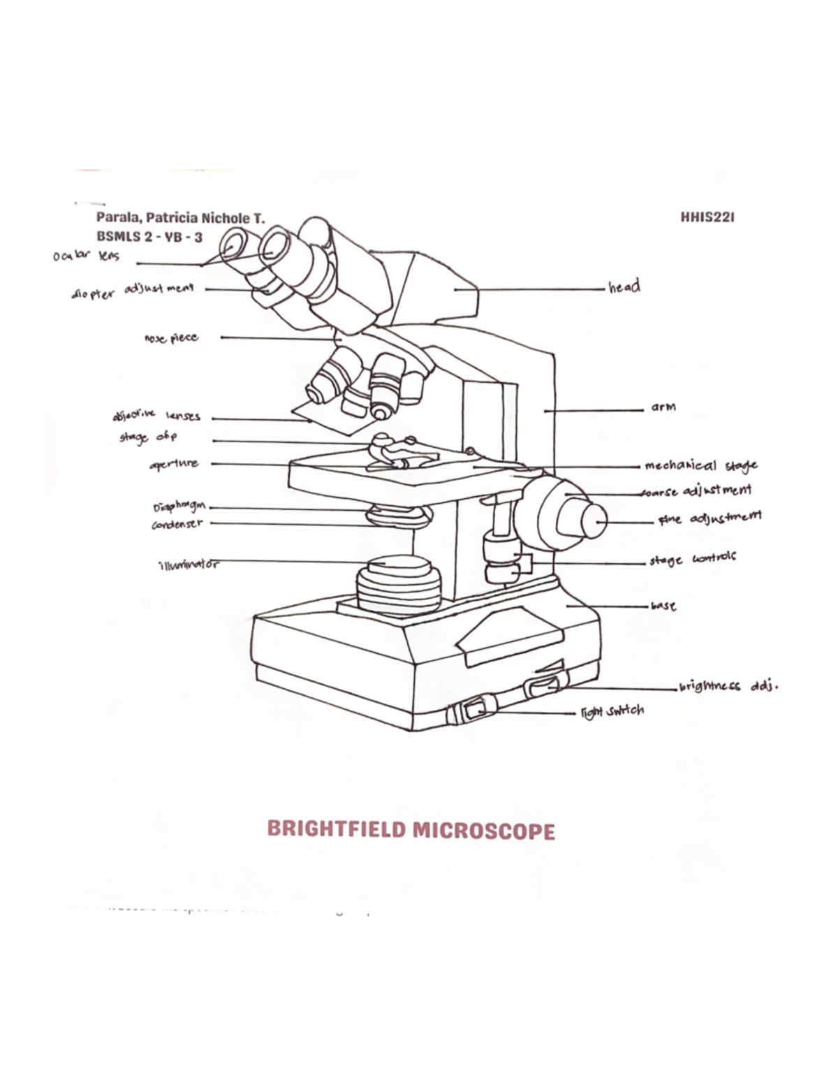 Microscopy Lab drawing - Parala, Patricia Nichole T. HHIS221 BSMLS 2 VB ...