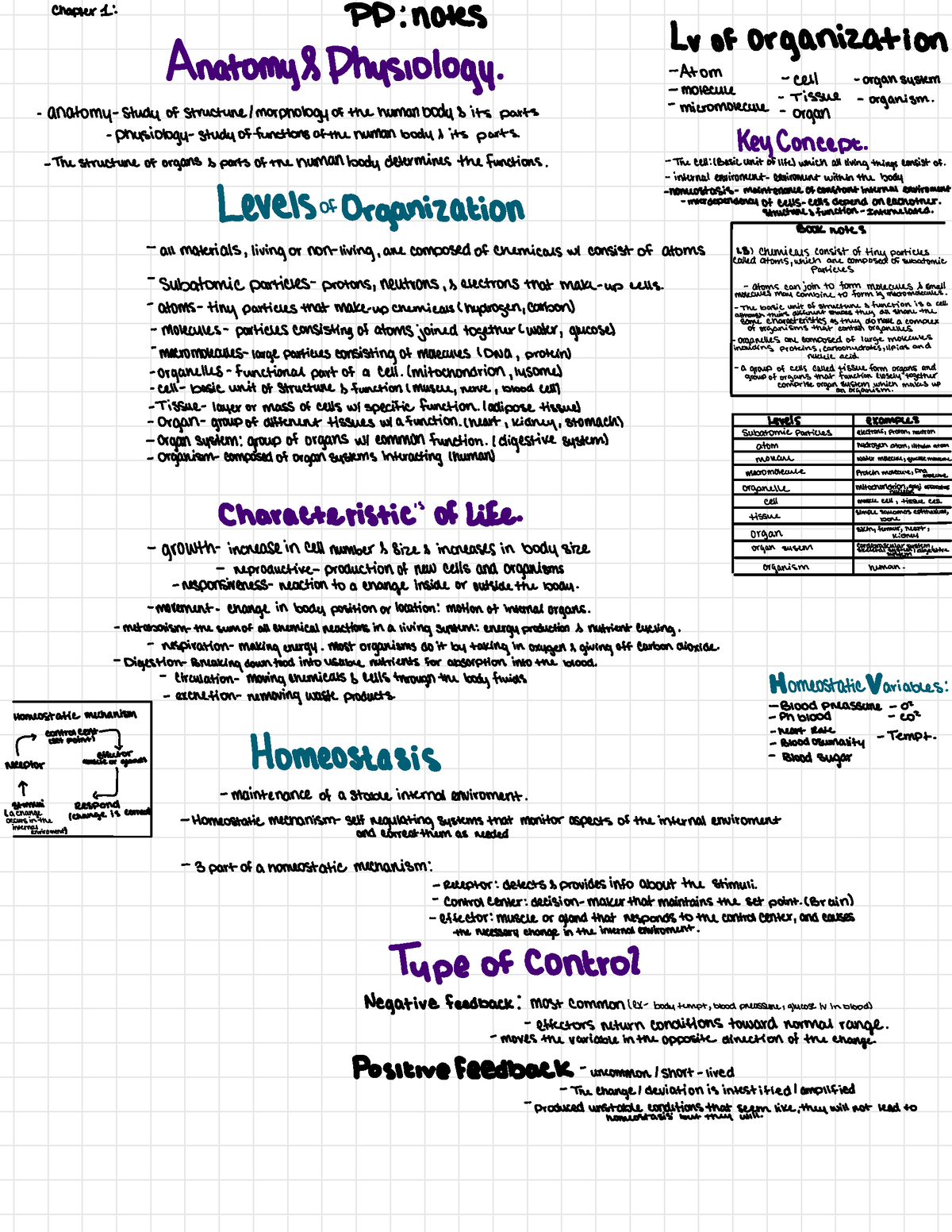 Introduction To Anatomy And Physiology - BIOL 225 - Studocu