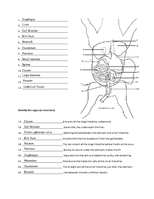 Frog dissection labeling worksheet -Ojo - Post Lab Questions The ...