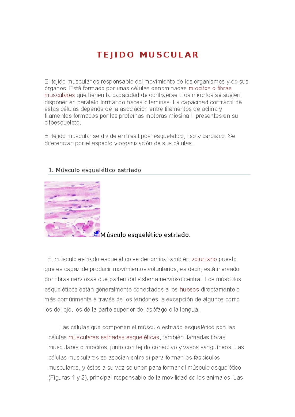 Tejido Muscular - ....................... - T E J I D O M U S C U L A R ...