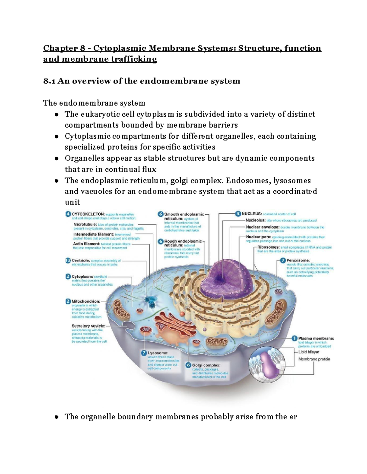 bisc300-chapter-8-chapter-8-cytoplasmic-membrane-systems-structure