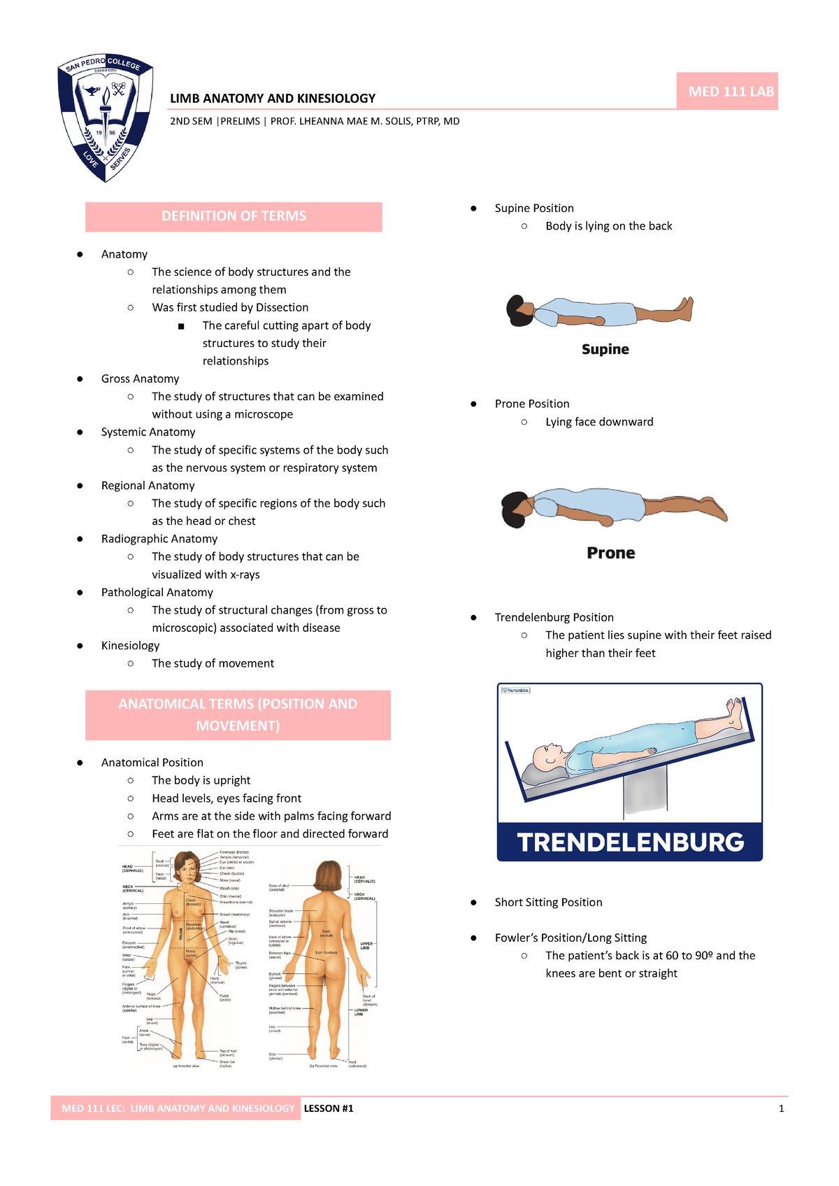 LIMB Anatomy AND Kinesiology - LIMB ANATOMY AND KINESIOLOGY MED 111 LAB ...