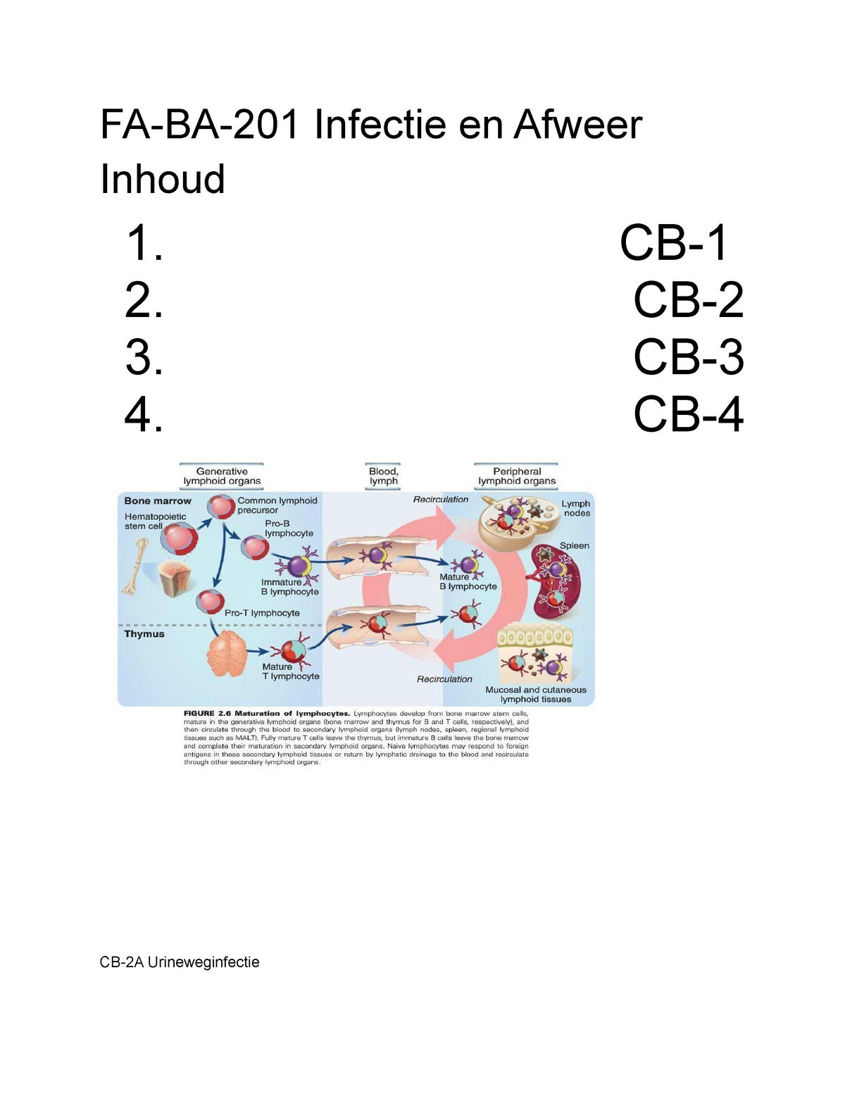 Herkansing 201 leren alles CBs - FA-BA-201 Infectie en Afweer Inhoud 1. CB- 2. CB- 3