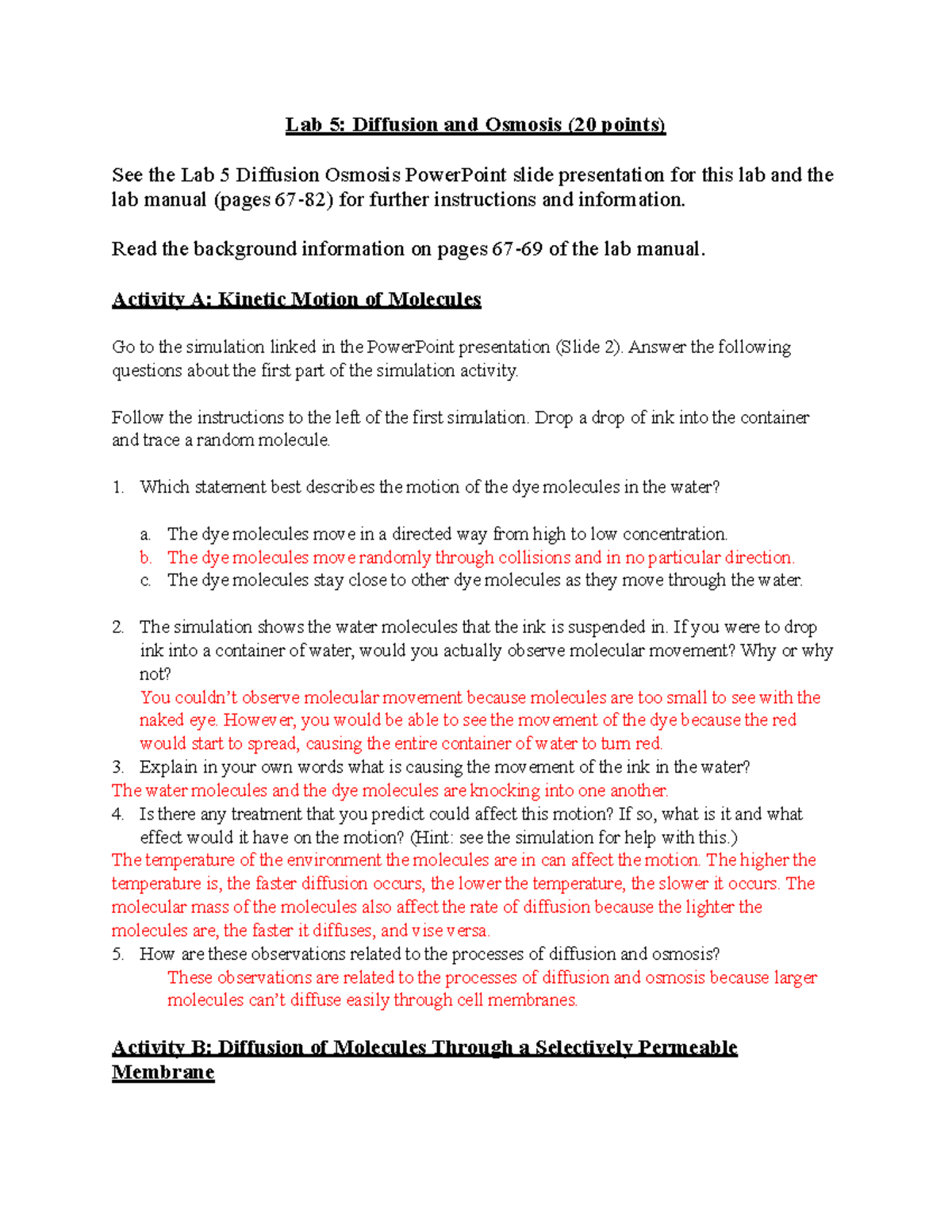 Lab 5 Diffusion Osmosis online worksheet PDF Lab 5 Diffusion and