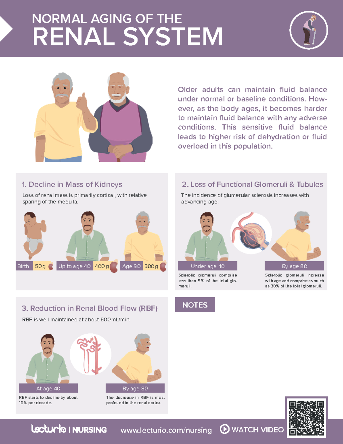 Nursing CS Normal-aging-of-the-renal-system - NORMAL AGING OF THE RENAL ...