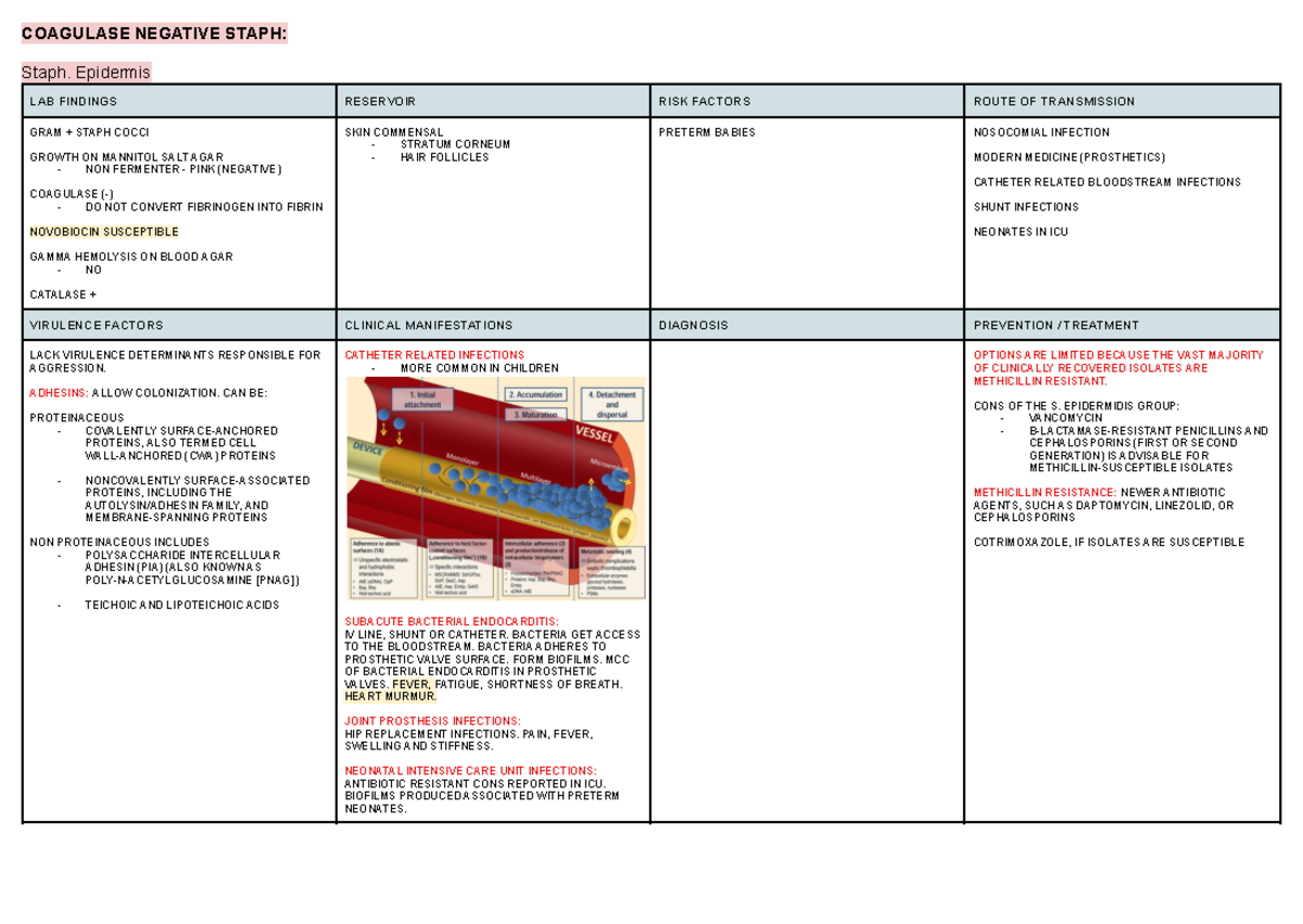 Coagulase Negative Staph (cons)-epa - Coagulase Negative Staph: Staph 