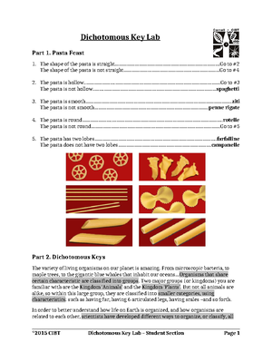 Bean Foraging Worksheet - Bean Foraging Worksheet Hypothesis: Even with ...