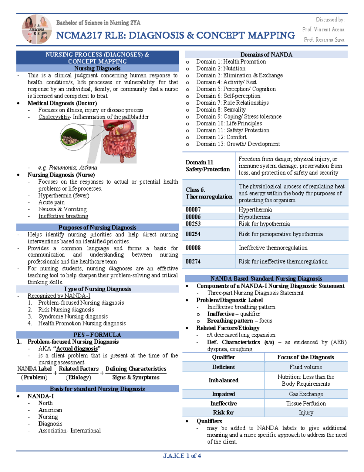 WK5 - Diagnosis and Concept of Mapping - Bachelor of Science in Nursing ...