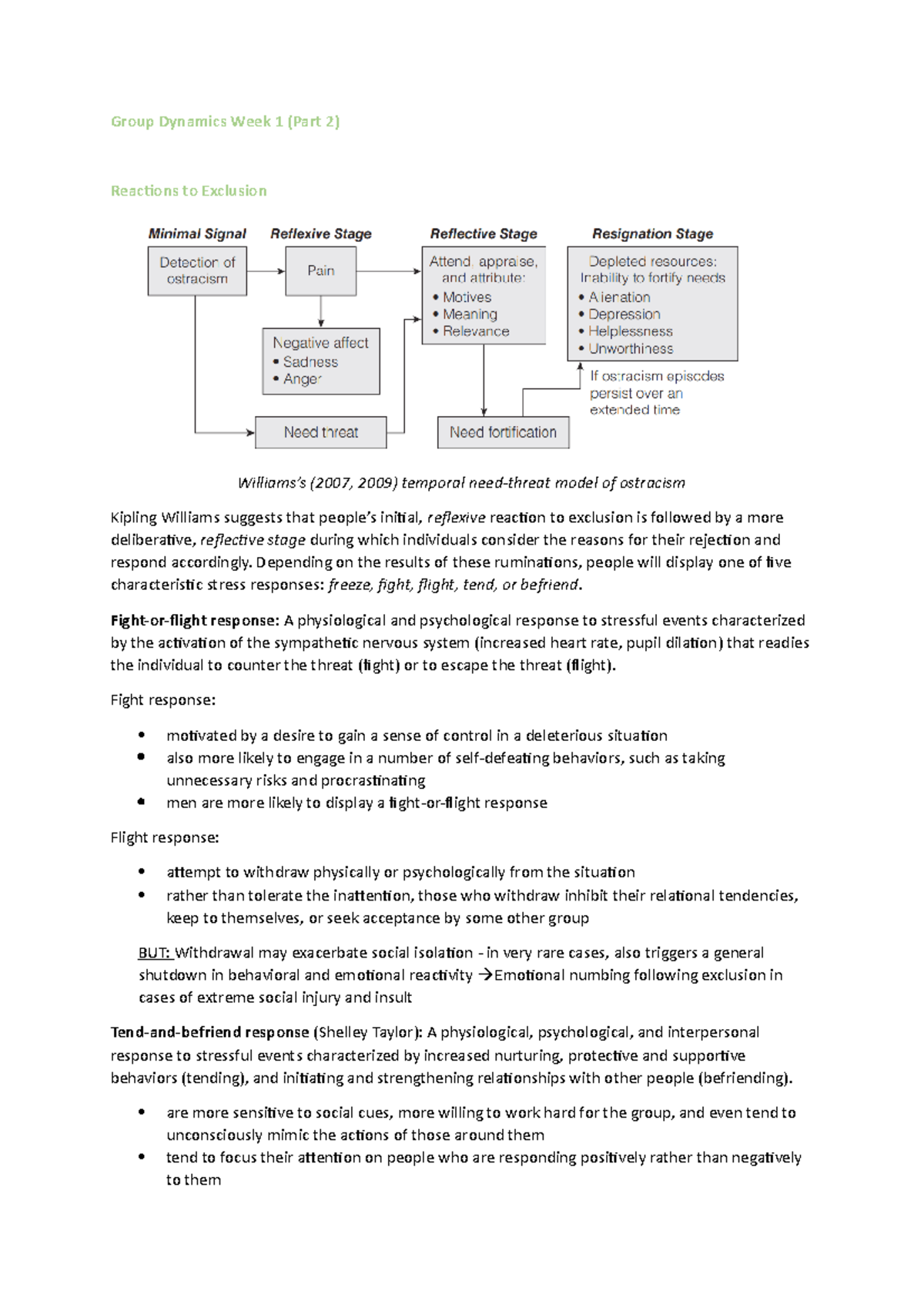 group dynamics assignment