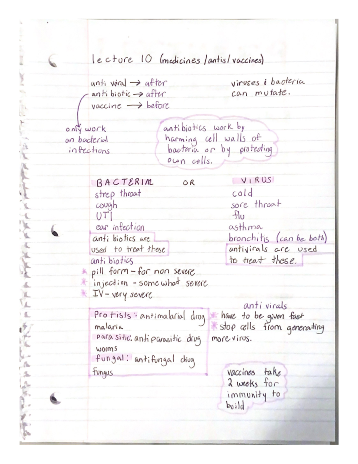 Lecture 9 Notes - BIOL 10 - Studocu