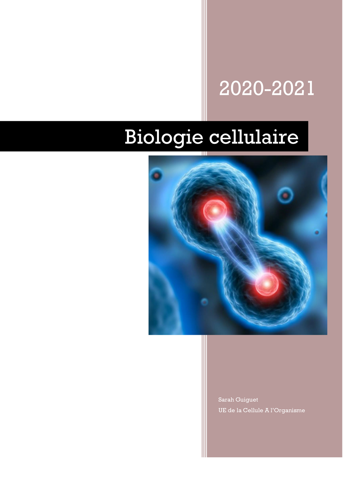 Chapitre 1 Les Niveaux D'organisation Des êtres Vivants - Biologie ...