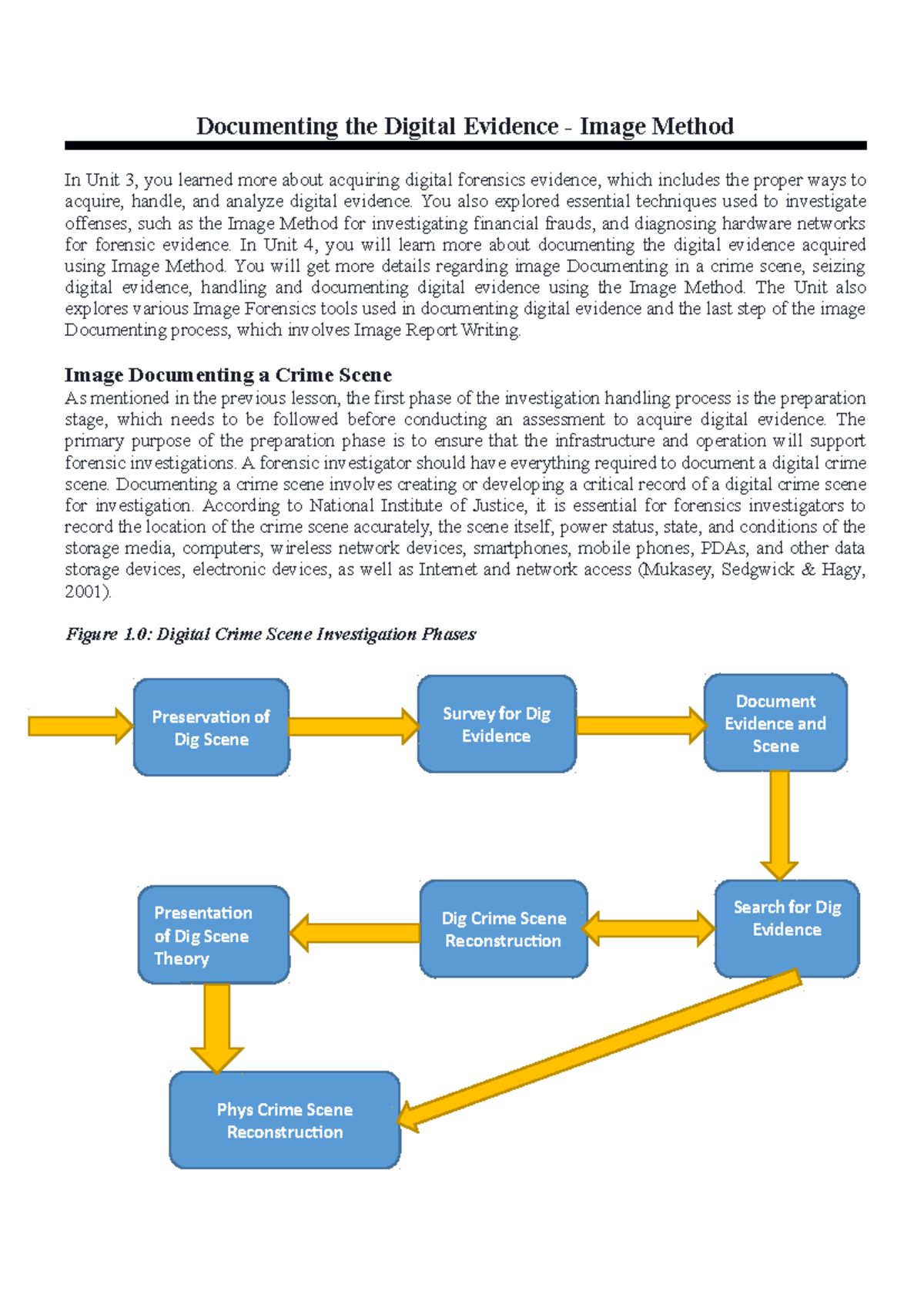 Documenting The Digital Evidence - You Also Explored Essential ...