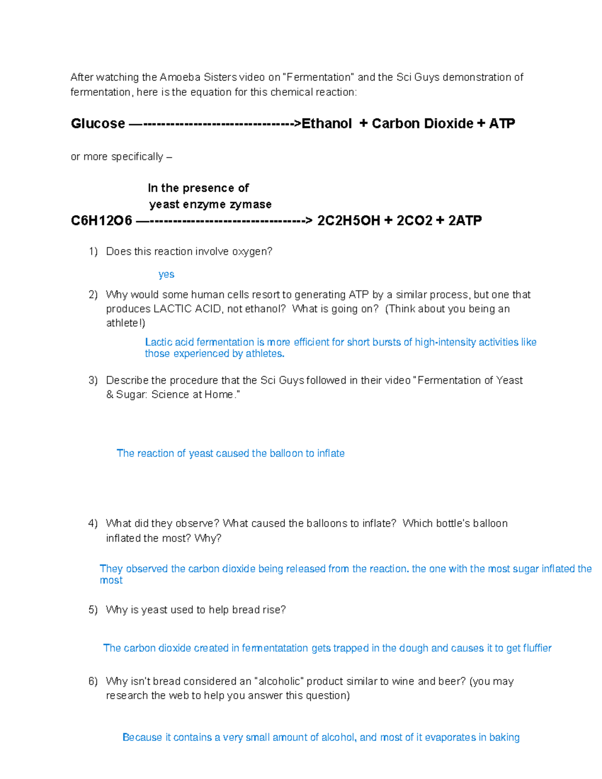 9 H Biology ~ Fermentation, Question Set - After watching the Amoeba ...