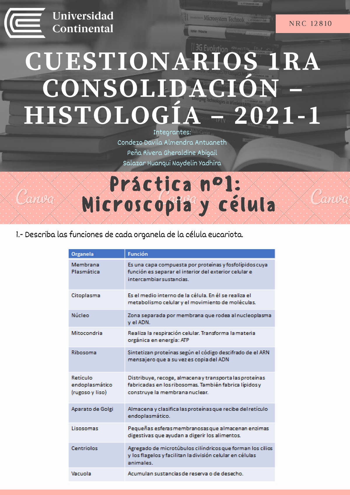 Cuestionarios Histología - CUESTIONARIOS 1RA CONSOLIDACIÓN – HISTOLOGÍA ...