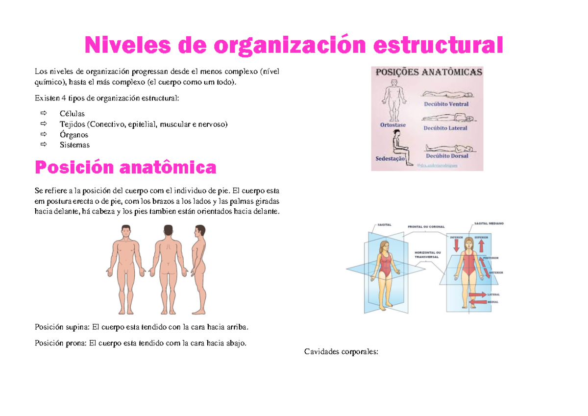 Niveles de organización estructural UN - Niveles de organización