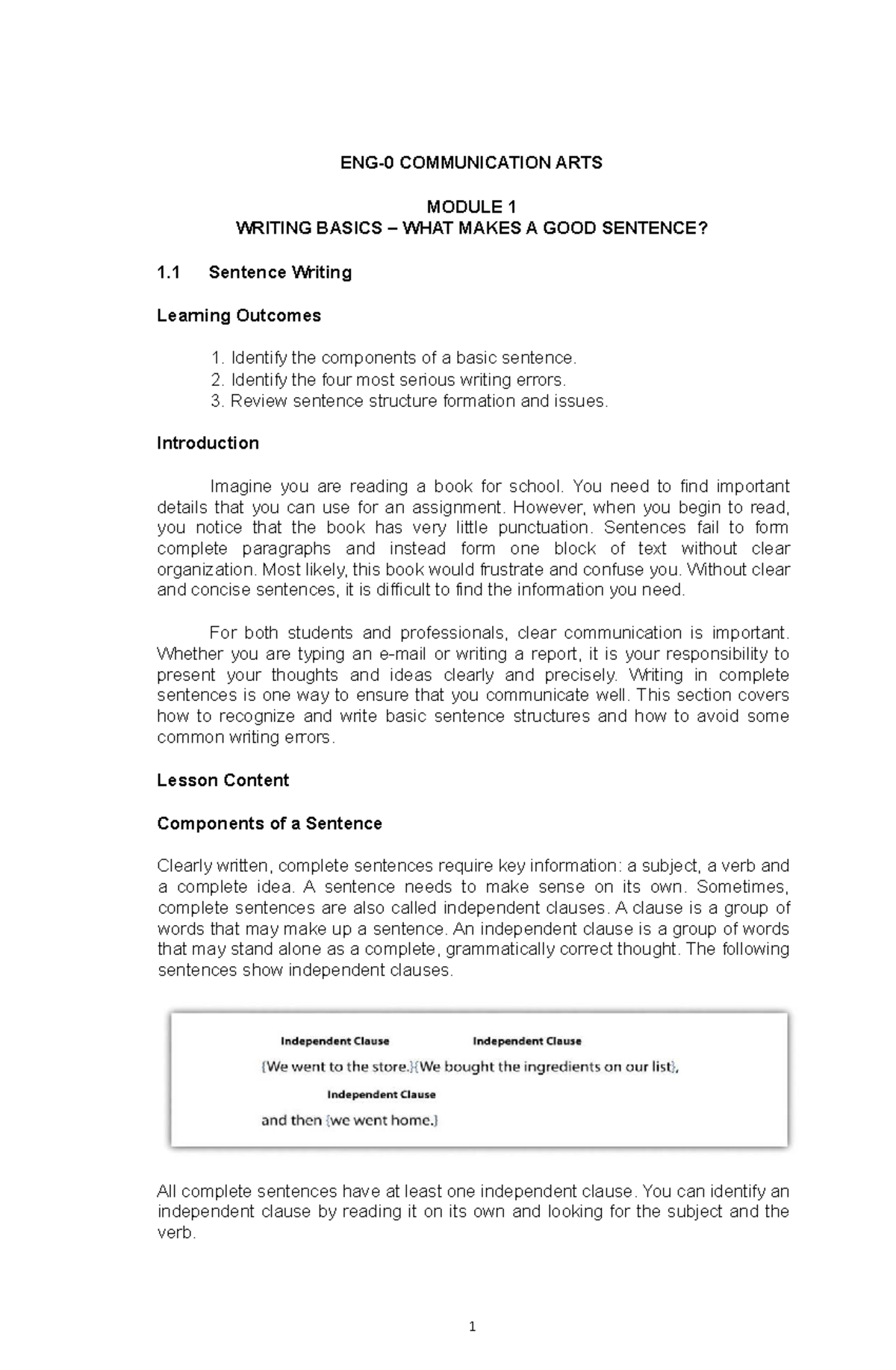 eng-0-m1-module-1-writing-basics-what-makes-a-good-sentence-eng-0