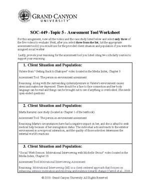 SOC 449 RS T3 Direct Practice Errors Worksheet - SOC-449 Direct ...