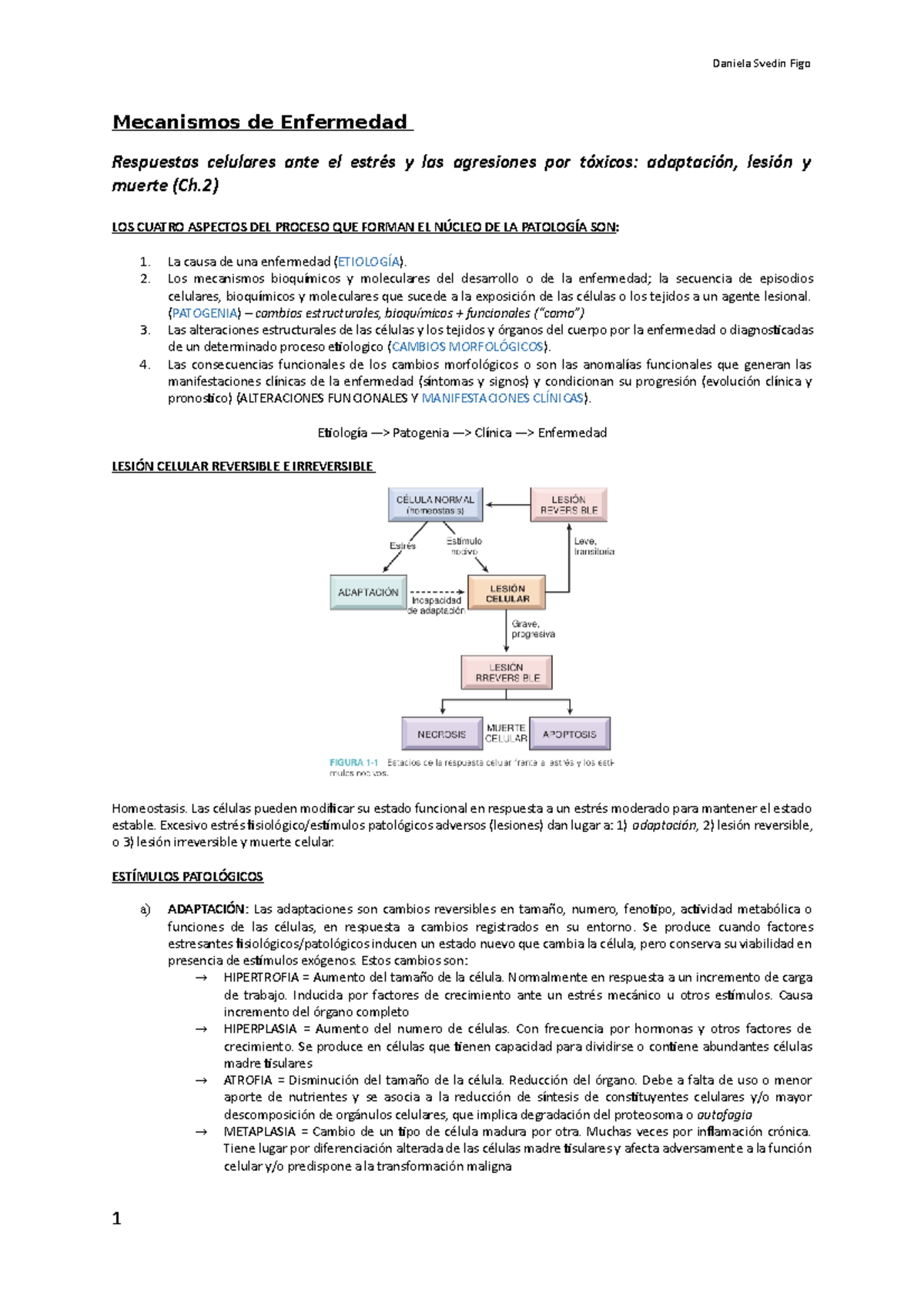 Mecanismos De Enfermedad Lesiones Celulares Mecanismos De