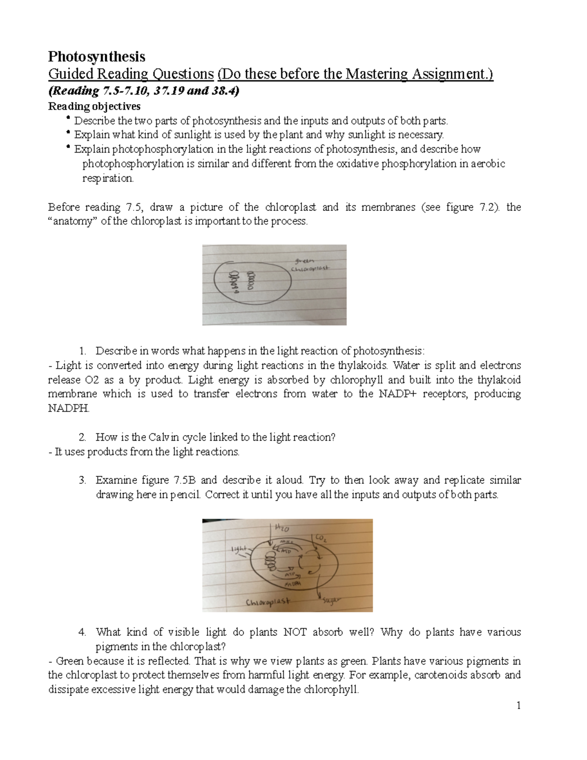 GRQ8 Guided reading qquestions - BIOL 101 - UNC Chapel Hill - Studocu