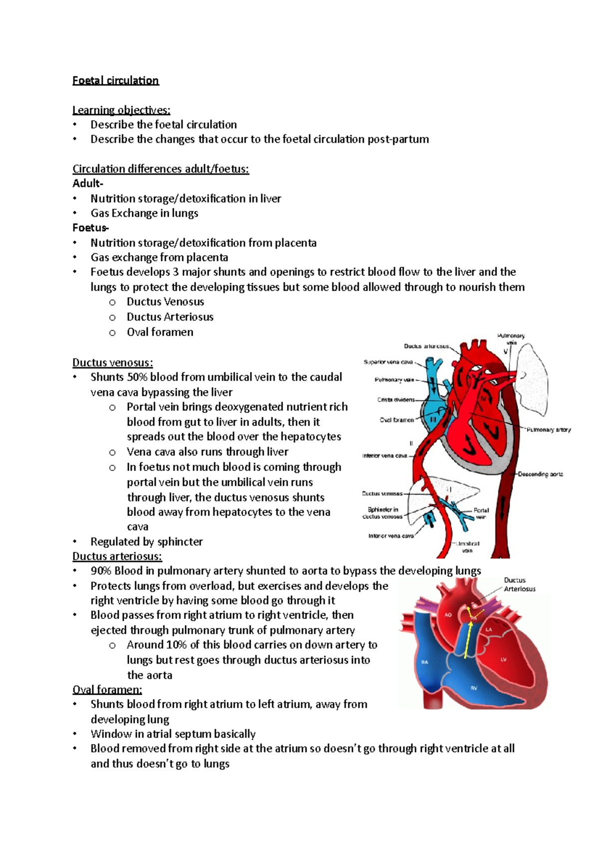 7- Foetal circulation - lecture notes - Foetal circulation Learning ...