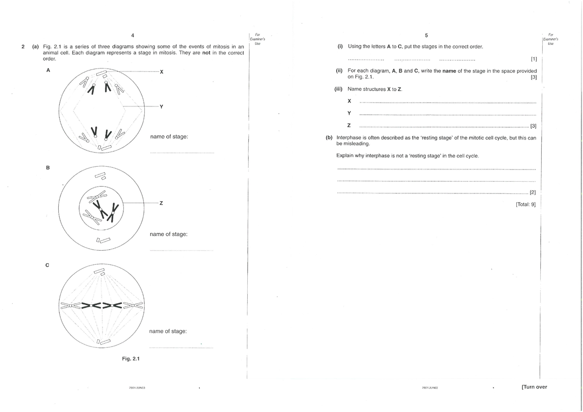 Mitosis Exam Q1 - practice questions - Studocu