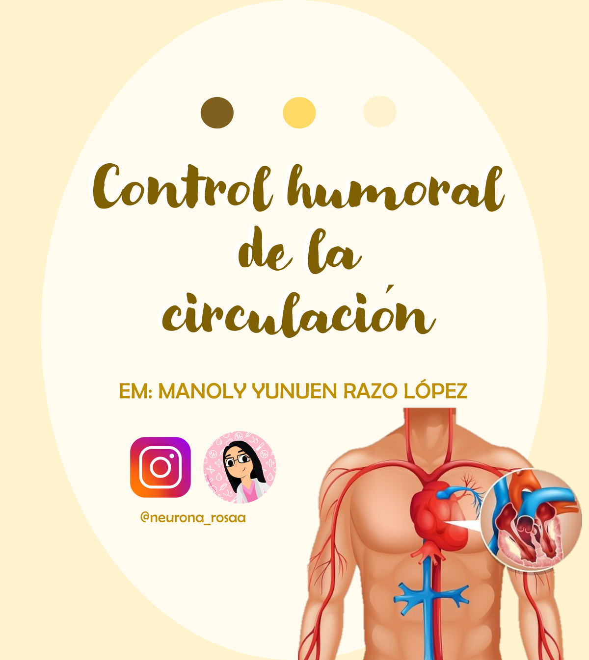 Control humoral de la circulación - @neurona_rosaa Control humoral de ...