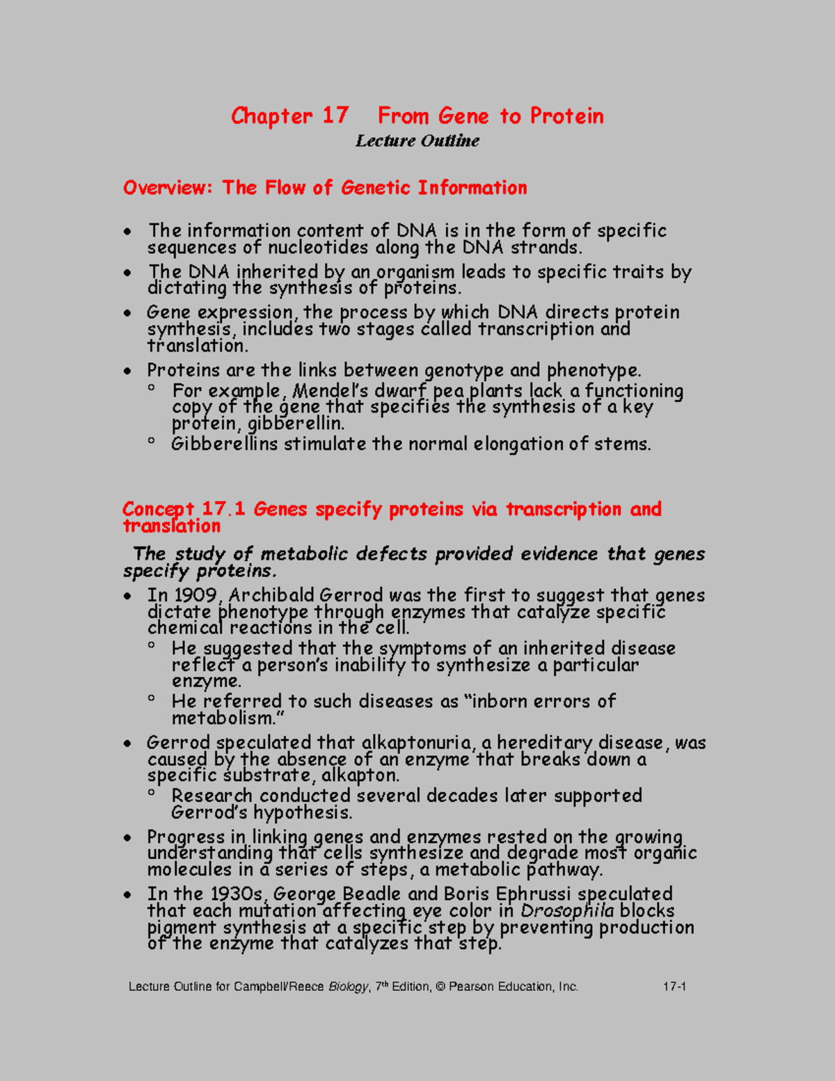 Chapter 17 Textbook Notes - Chapter 17 From Gene To Protein Lecture ...