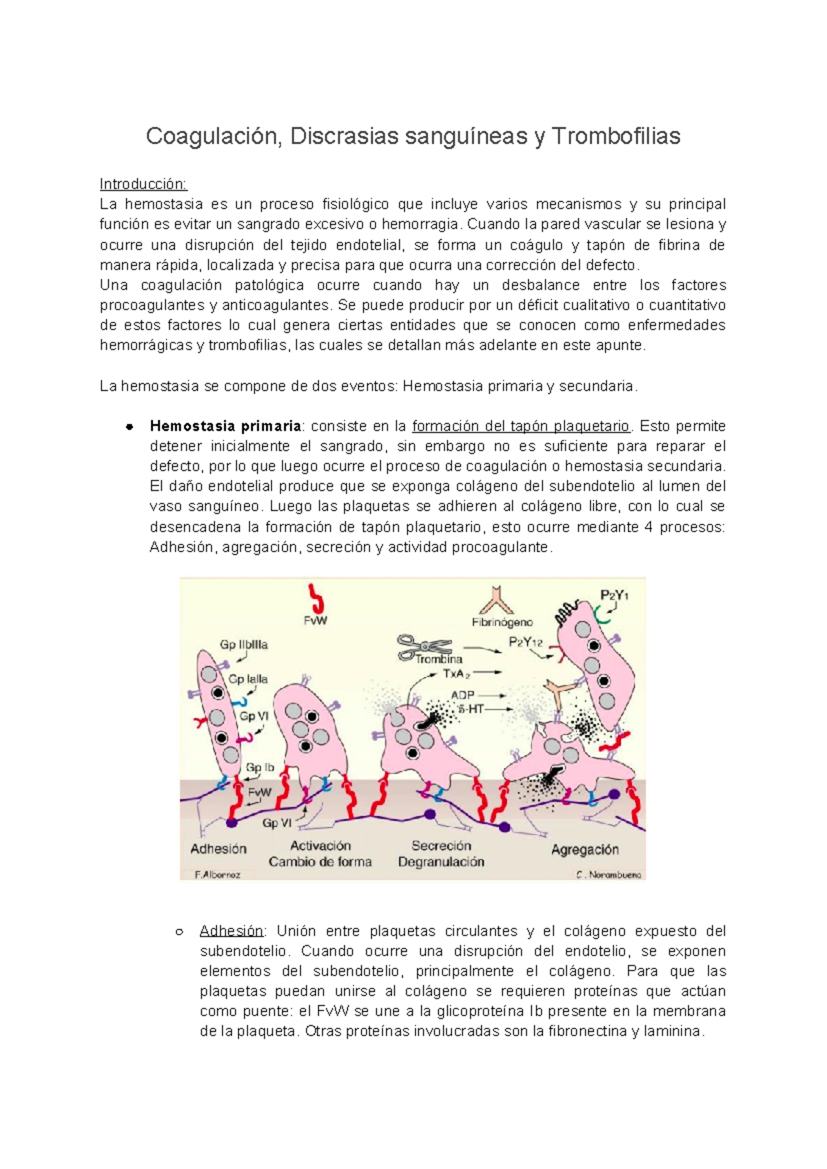 Apuntes Coagulación, discrasias sanguíneas y Trombofilias - Coagulación ...
