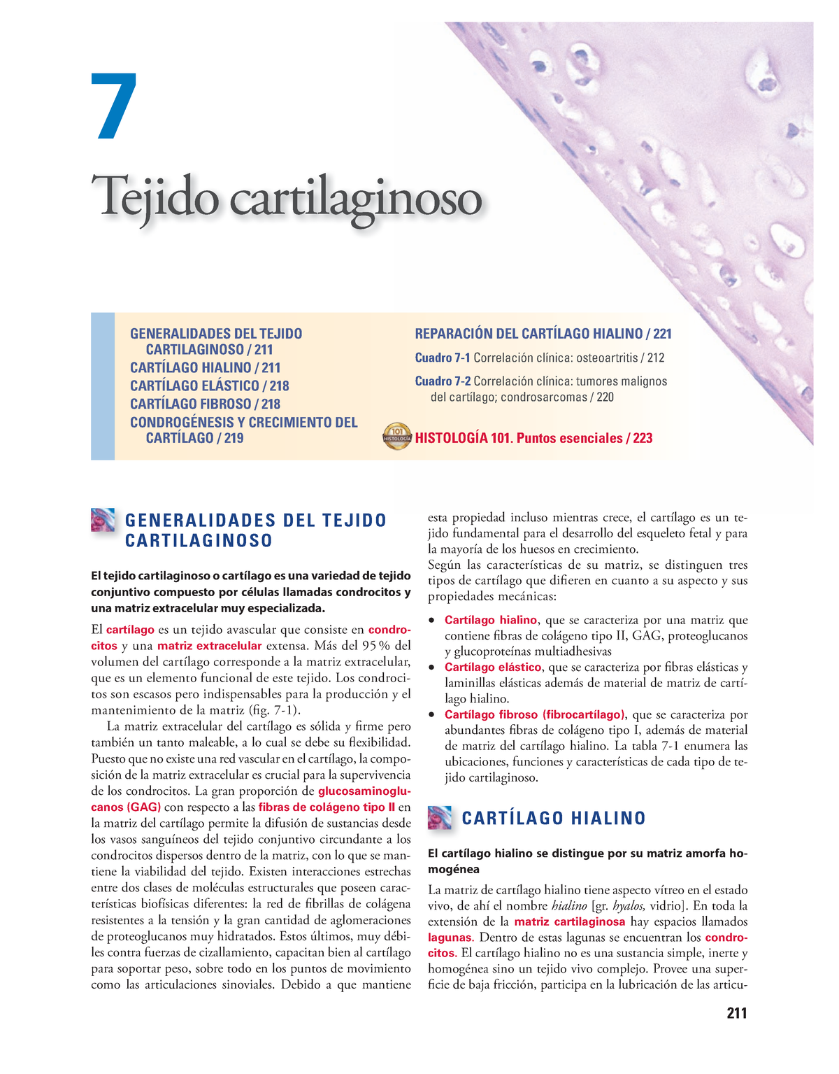 Cap 7 Capitulo 7 Histología Tejido Cartilaginoso 211 Generalidades Del Tejido 1103