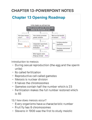 Chapter 14 Textbook Notes - CHAPTER 14 TEXTBOOK NOTES Mendel and the ...