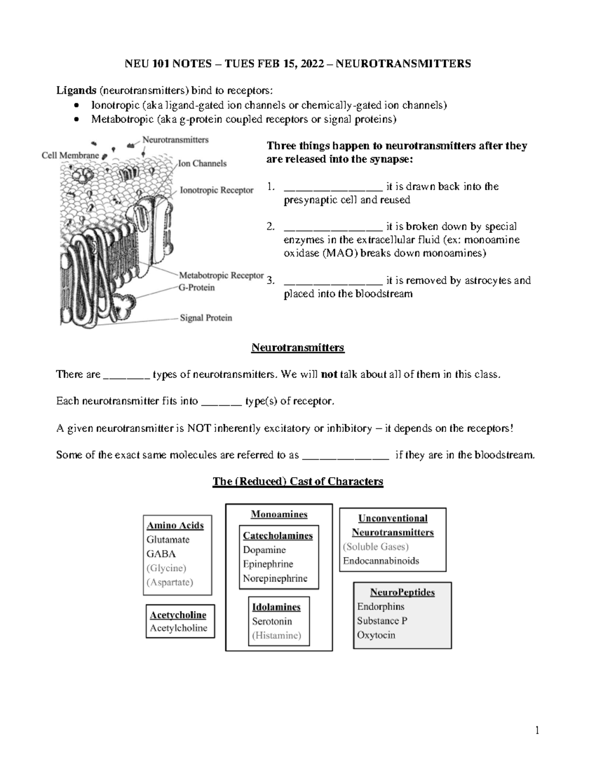 5 TH Notes Neurotransmitters - NEU 101 NOTES – TUES FEB 15, 2022 ...