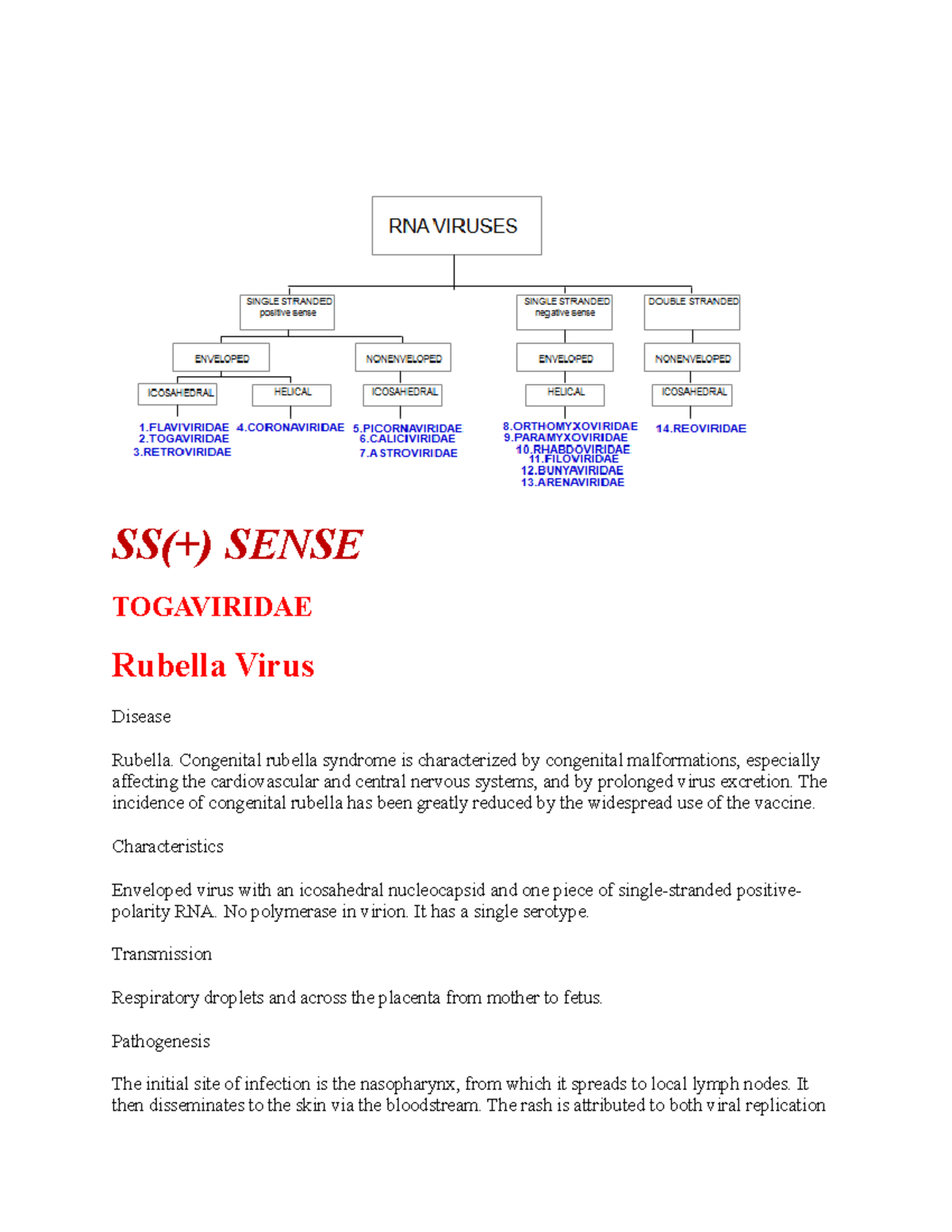 RNA Viruses ETE 3 - microbiology - SS(+) SENSE TOGAVIRIDAE Rubella ...
