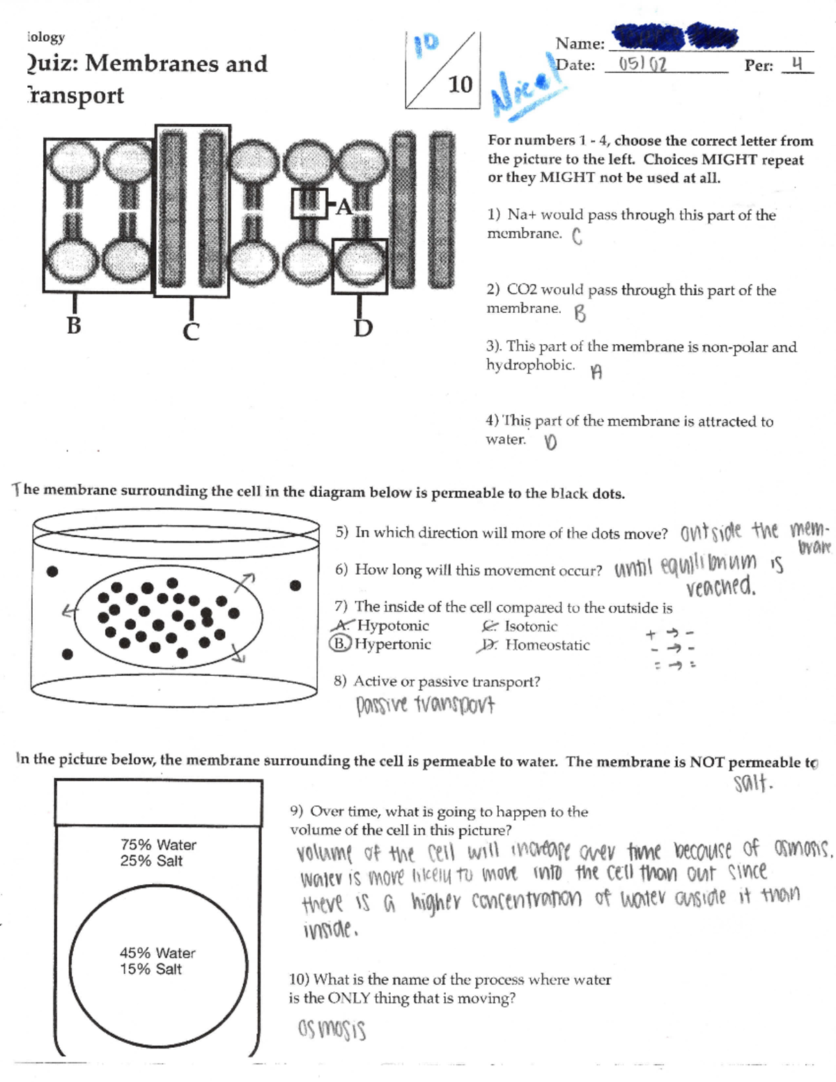 Membranes and Transport Quiz Studocu