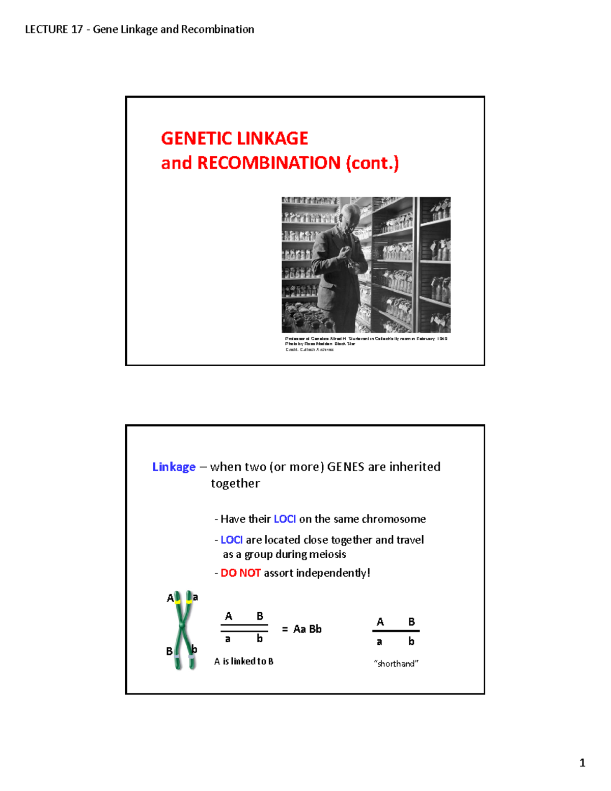 Lecture 17 Genetic Linkage And Recombination 2 Genetic Linkage And Recombination Cont