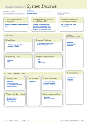 Maalox Drug Card Template - ACTIVE LEARNING TEMPLATES THERAPEUTIC ...